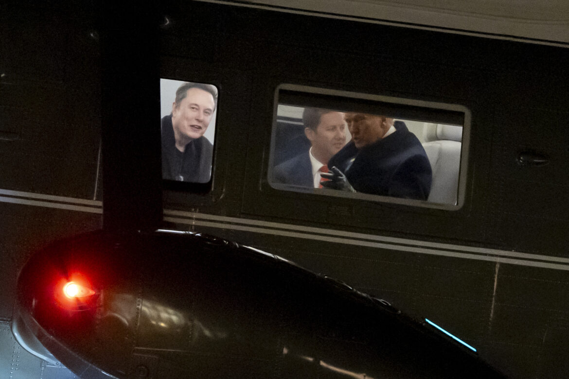 Donald TrumpElon Musk