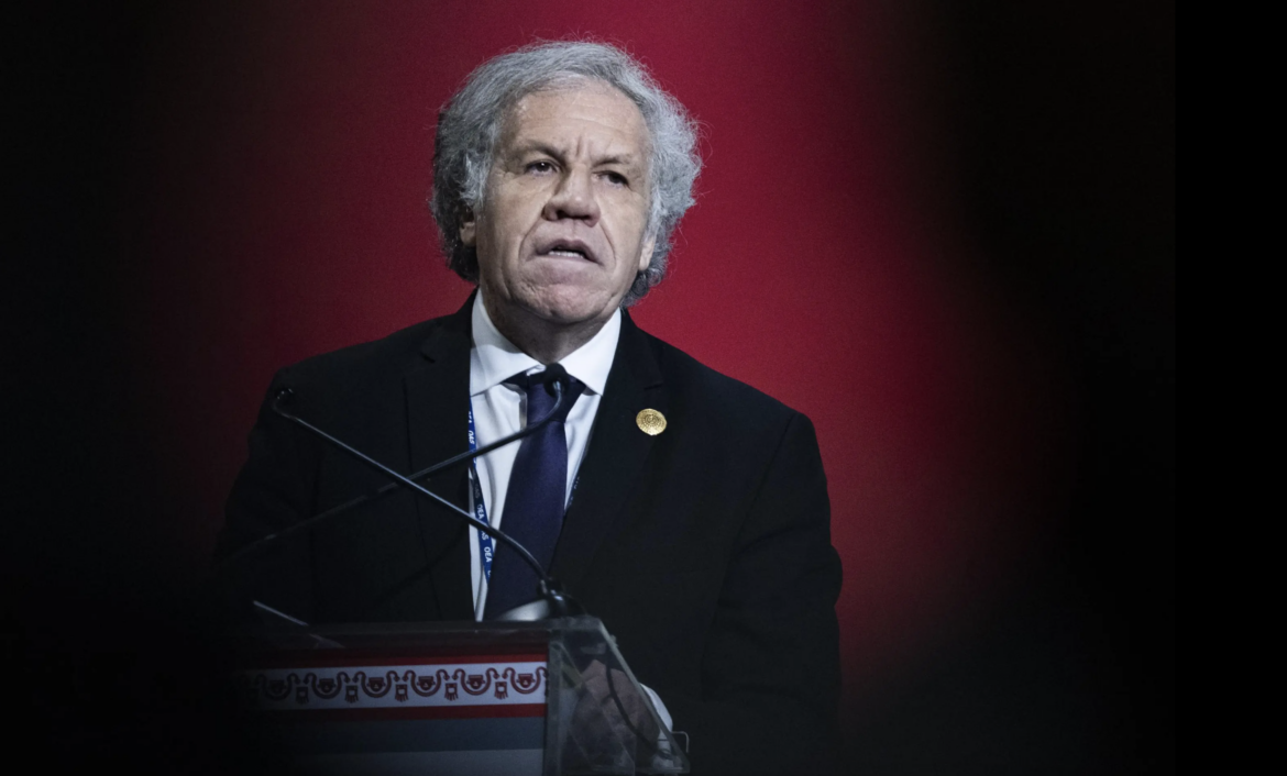 Luis Almagro (AP Photo/Guadalupe Pardo)
